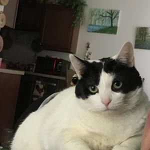 Meet your Posher, Adam